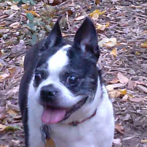 Meet your Posher, Christine